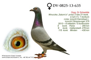 DV-0825-13-635z