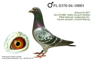 PL-0370-04-10001