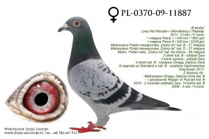 PL-0370-09-11887 zdj(1)