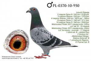 PL-0370-10-950 zdj(1)