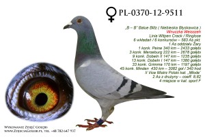 PL-0370-12-9511