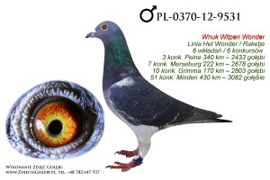 PL-0370-12-9531